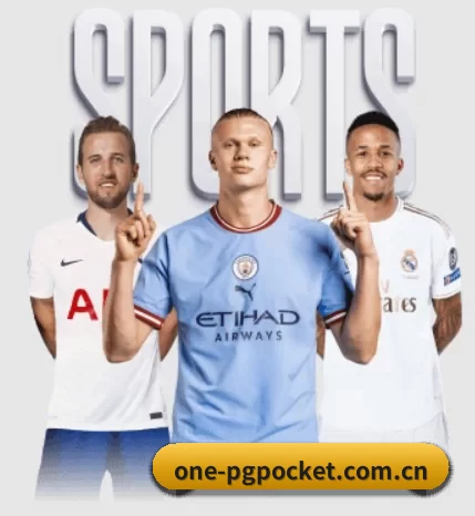 one-pgpocket.com.cn的方向
